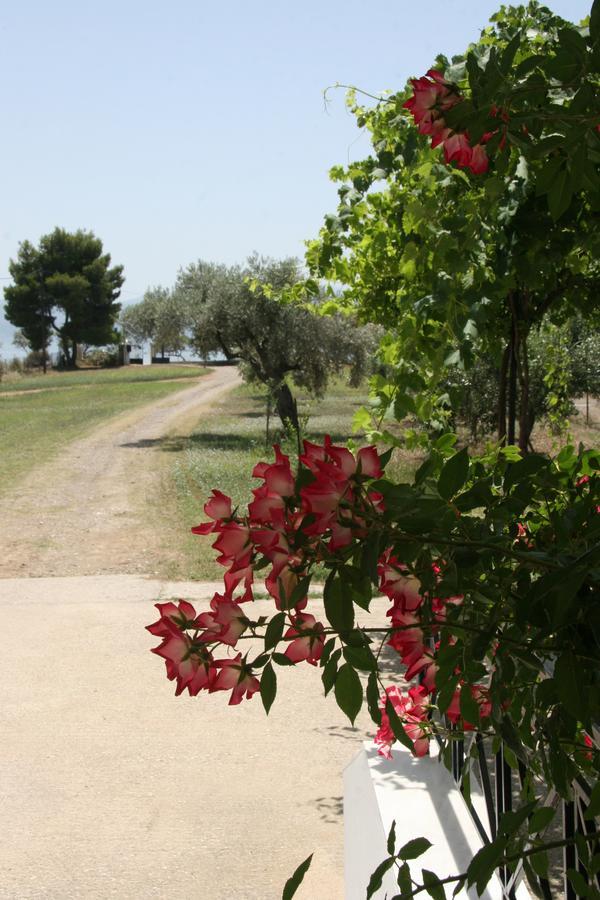 Villa Vlichos Amarynthos Luaran gambar