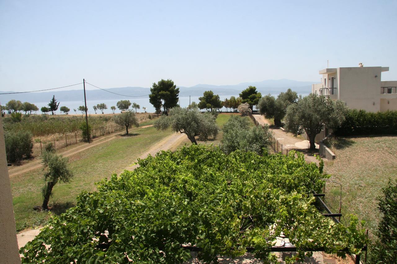 Villa Vlichos Amarynthos Luaran gambar