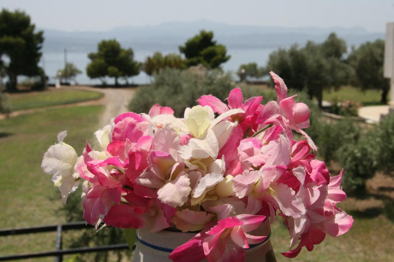 Villa Vlichos Amarynthos Luaran gambar
