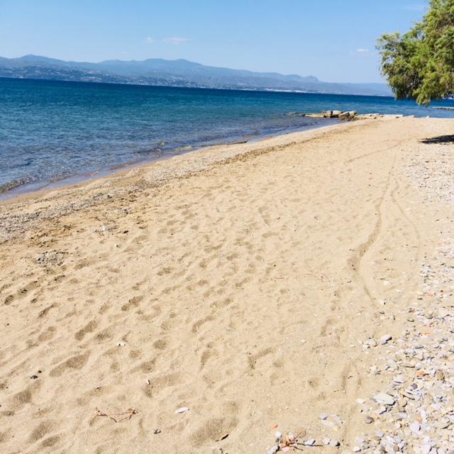 Villa Vlichos Amarynthos Luaran gambar
